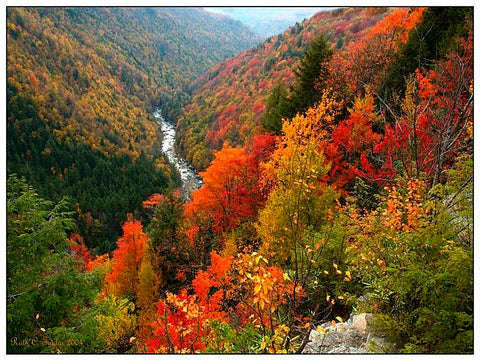 Autumn (Fall) Scents
