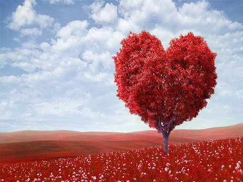 Valentine's Day Scents