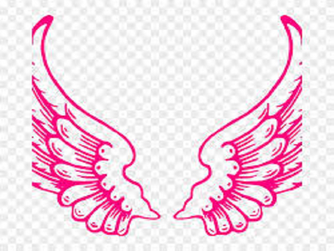 Compare to Victoria's Secret Type