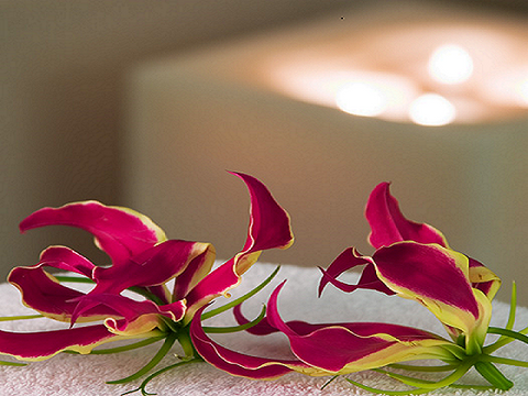 Spa Scents
