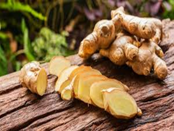 Ginger Wood & Palo Santo Type Fragrance Oil