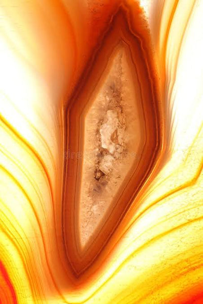 Salted Amber & Vetiver by BBW Type Fragrance Oil