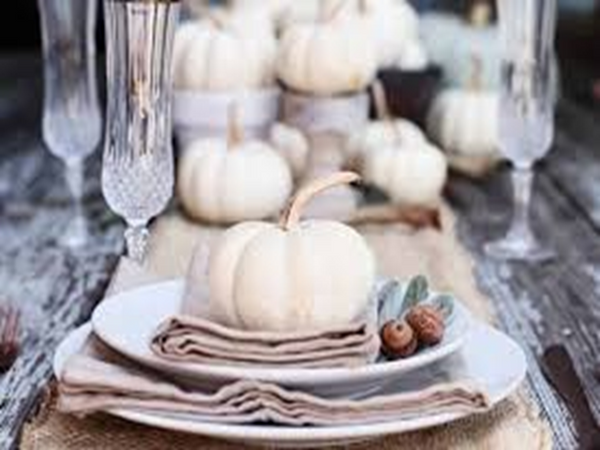 White Pumpkin Amber Type Fragrance Oil