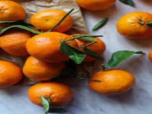 Honey Clementine by Yankee Candle Type Fragrance Oil