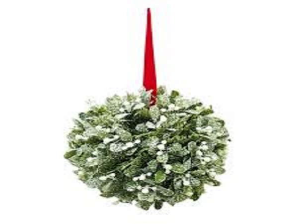 Mistletoe by Yankee Candle Type Fragrance Oil