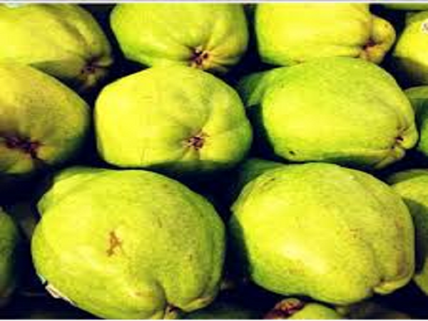 Bartlett Pear Type Fragrance Oil