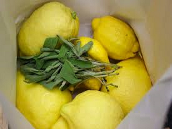 CLOSEOUT Sage & Citrus by YC Type Fragrance Oil