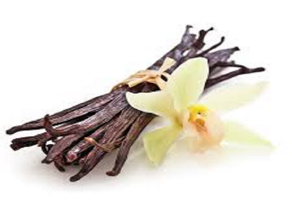 French Vanilla Type Fragrance Oil
