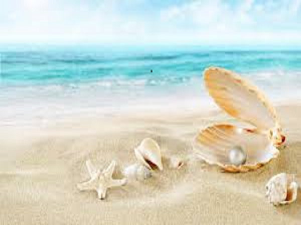 Sun & Sand by Yankee Candle Type Fragrance Oil