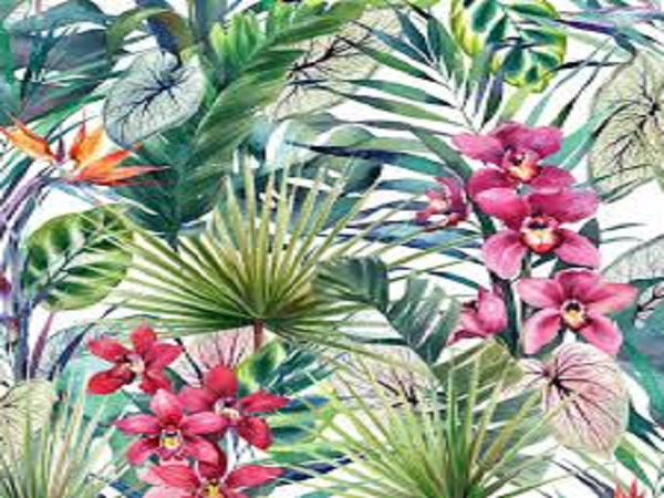CLOSEOUT Tropical Elements Type Fragrance Oil